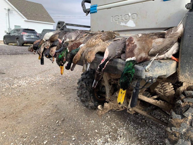 The veterans group shot 19 ducks during Sunday's hunting adventure, an initiative by The Fallen Outdoors.