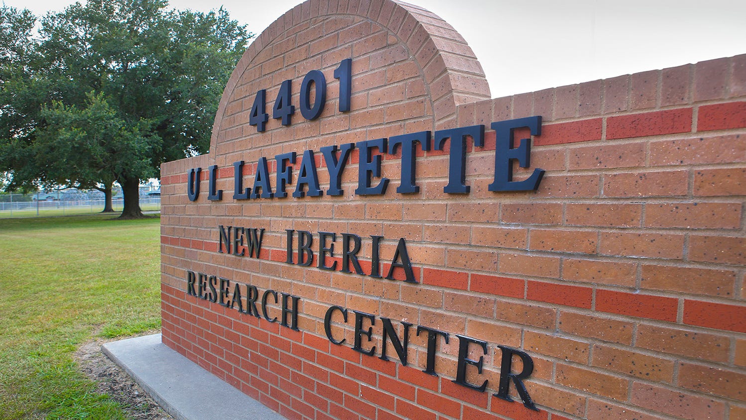 Groups make claims against UL Lafayette's New Iberia Research Center after primate deaths - Daily Advertiser