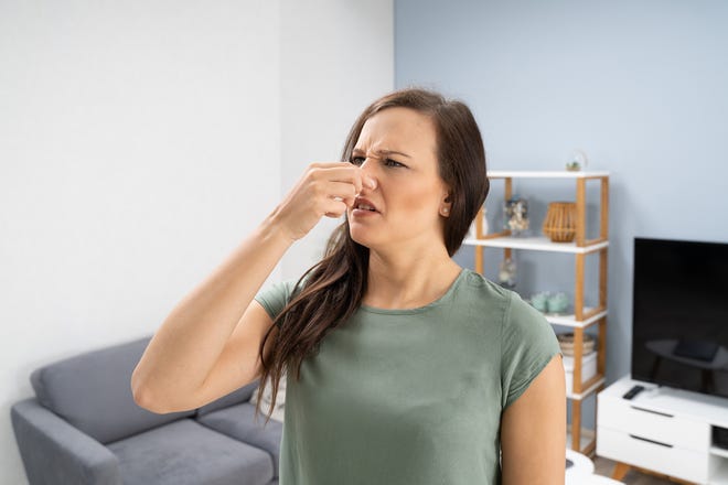 A strong pleasant smell can also be a red flag as it’s often an attempt to mask unfavorable smells, and potentially bigger issues.