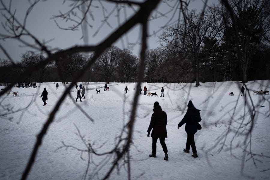 People gather on the snow covered fields of the Long Meadow in Prospect Park to take a stroll, some walking their dogs, at the start of the day on Wednesday, Feb. 10, 2021, in the Brooklyn borough of New York.