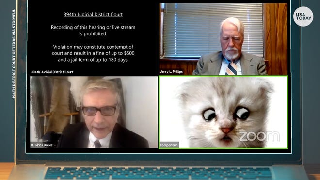 Zoom Cat Filter Fail Lawyer Appears In Court As A Kitten In Snafu Zoom Cat Filter Fail Lawyer Appears In Court As A Kitten In Snafu