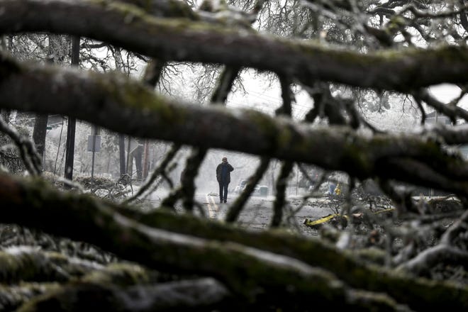 A pedestrian is framed by a large tree that fell during the ice storm near Bush's Pasture Park on Saturday, Feb. 13, 2021 in Salem, Ore. Areas of Salem experienced power outages.