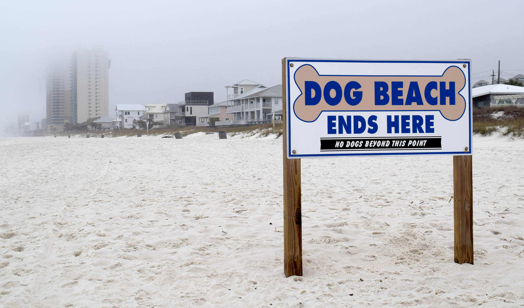 Dog Beach At Pier Park Panama City Beach