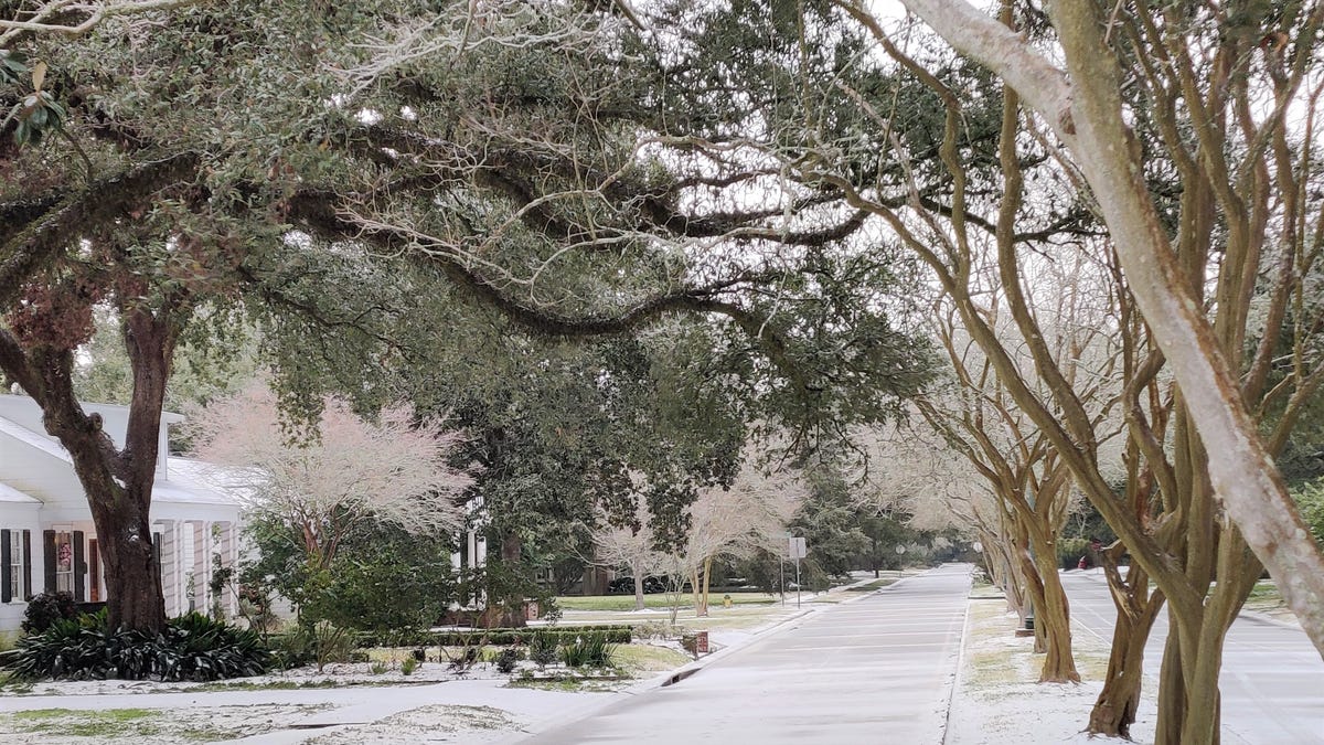Louisiana weather Snow in Lafayette and Acadiana Photos