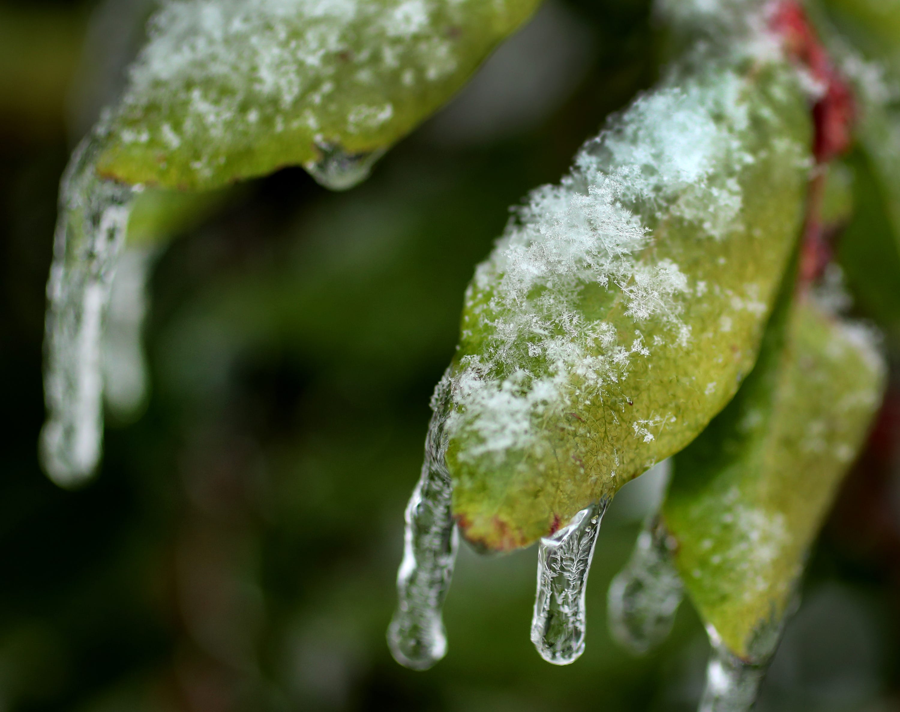 davidson-county-to-get-freezing-rain-thursday