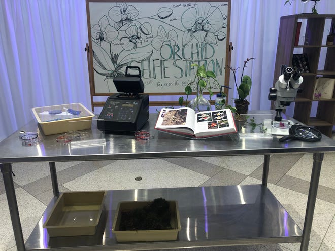 The "Orchids Forever" show at the Cleveland Botanical Garden features a conservation lab display.