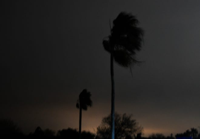 A palm tree is seen in a neighborhood without power, Tuesday, Feb. 16, 2021. Customers should expect new power outages and for existing power outages to continue, according to a message posted by AEP Texas.