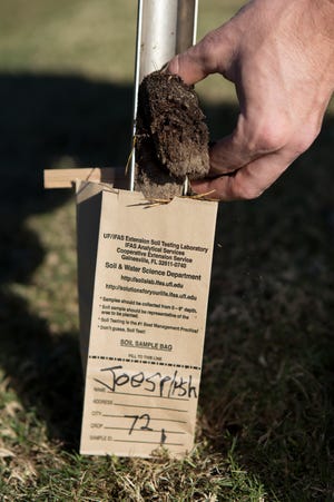 Soil testing through UF/IFAS can clear up the confusion by confirming if fertilizer is needed or not. Photo by UF/IFAS.