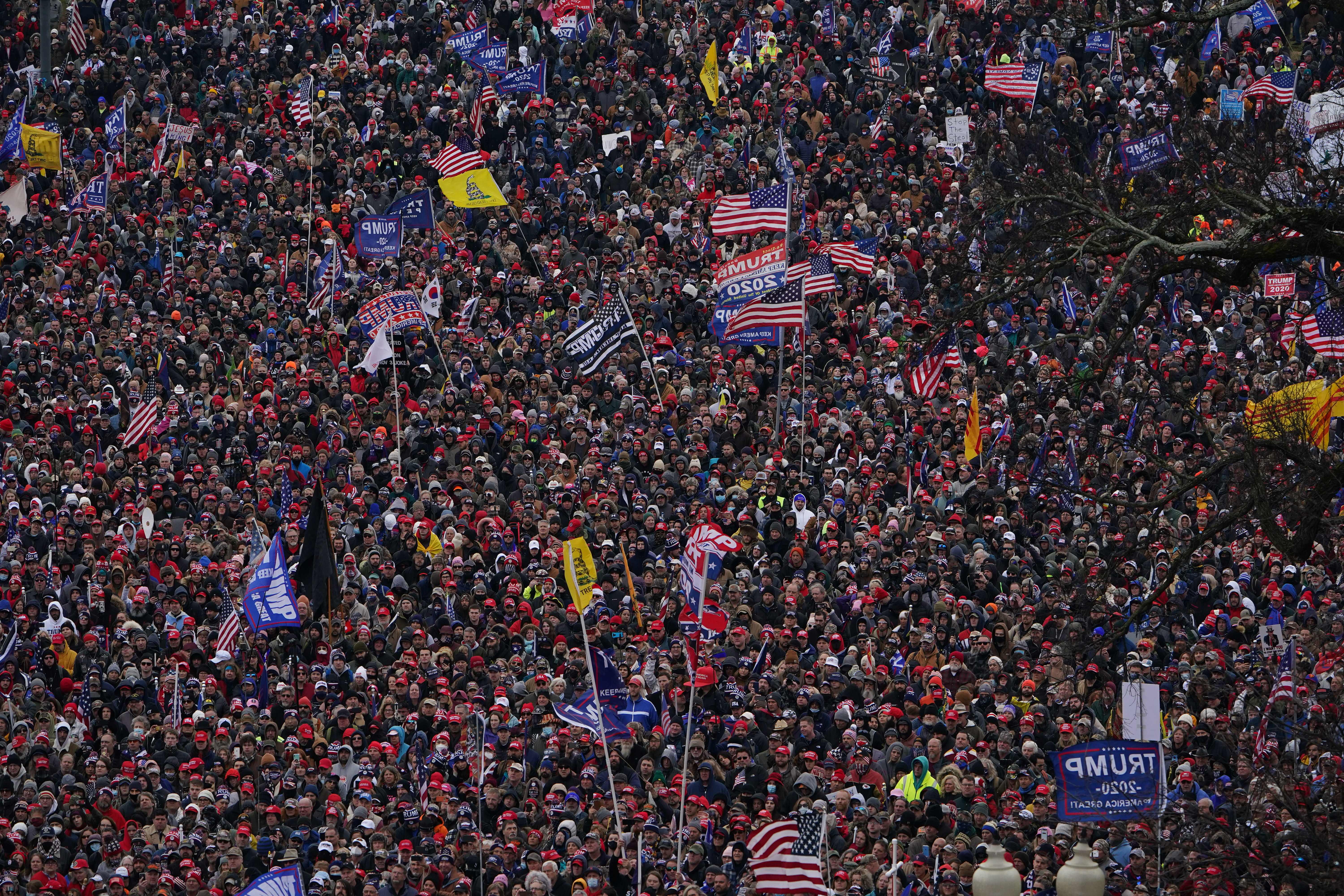 Supporters of President Donald Trump fill the National Mall on Jan. 6.
