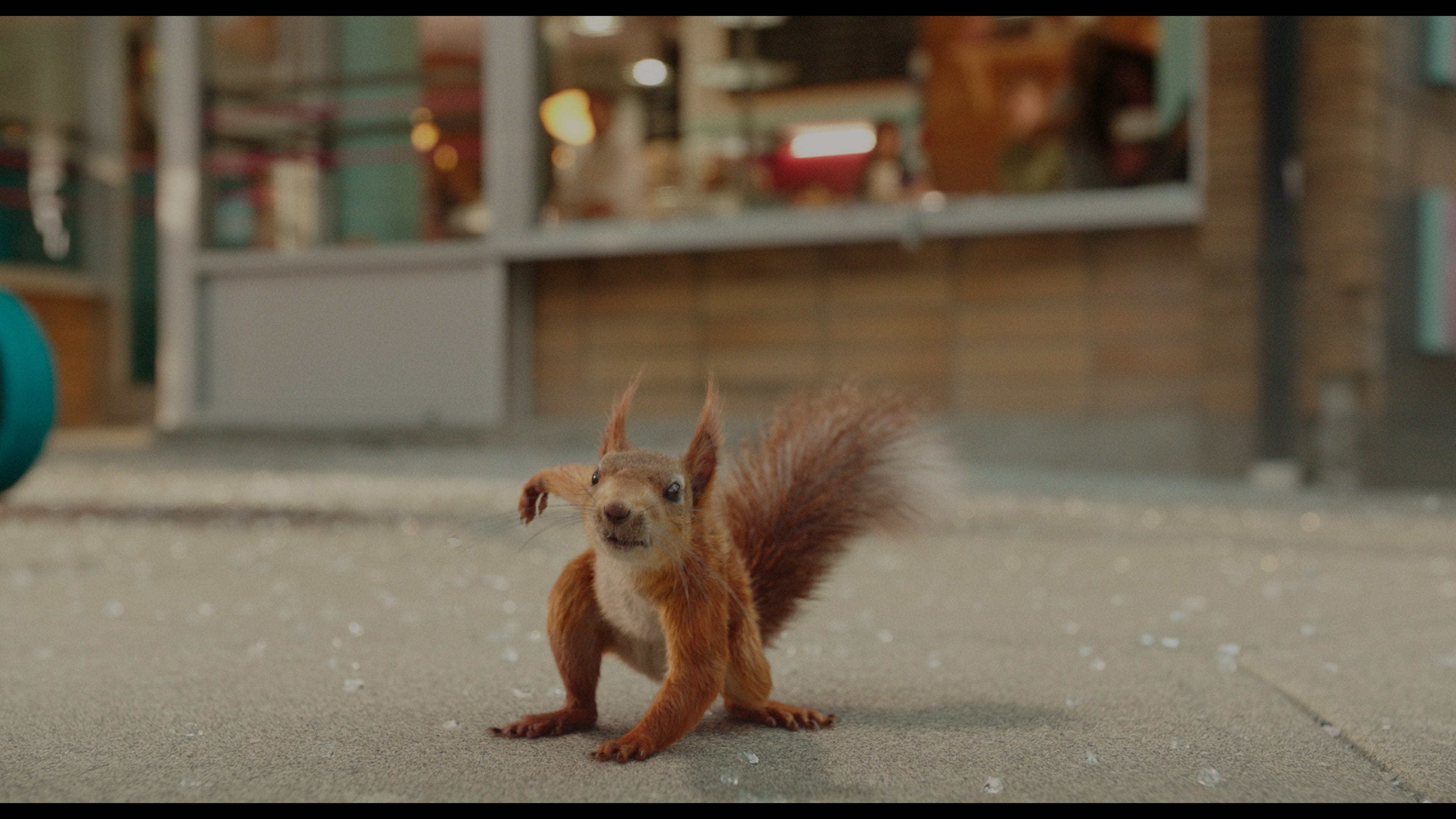Flora & Ulysses': How Disney+ turned a squirrel into a superhero Flora & Ulysses': How Disney+ turned a squirrel into a superhero