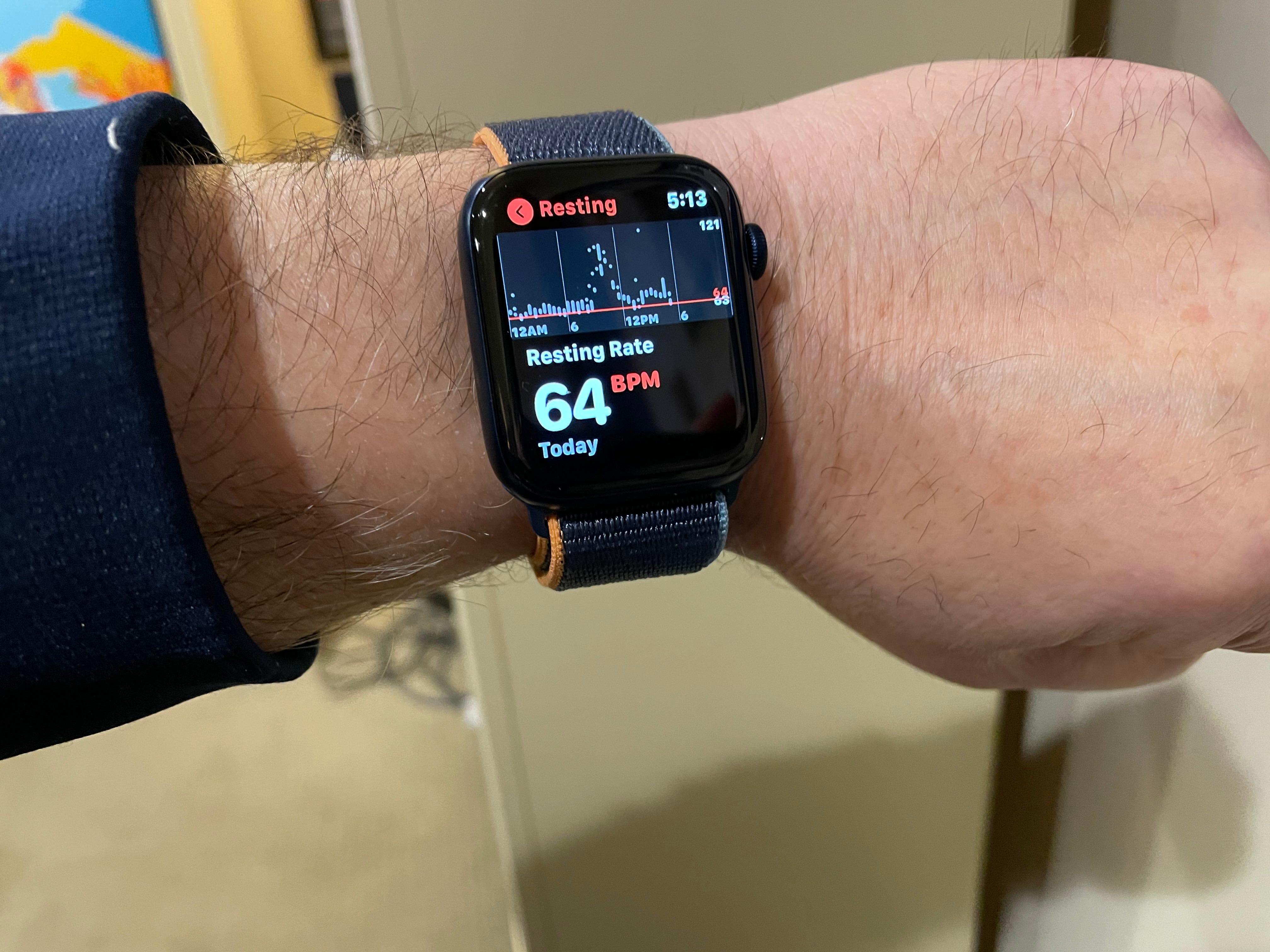 run apple watch serial number check