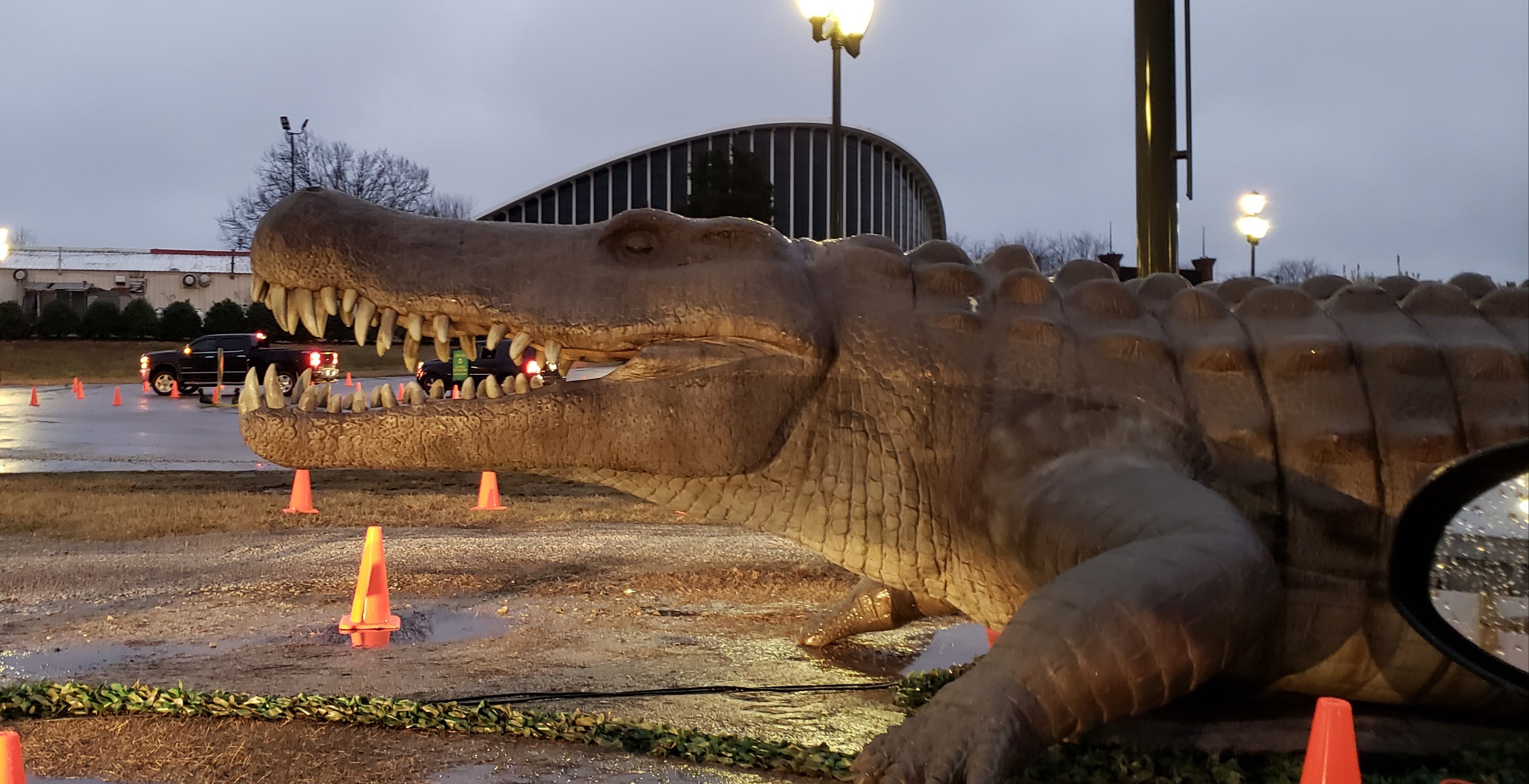 Roar Dinosaurs Stomp Into The Nc State Fairgrounds