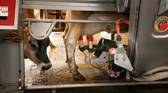 Despite an outlook of higher milk prices, dairy economist says dairy producers will continue to experience dairy price volatility and uncertainty and should consider using available price risk management tools.