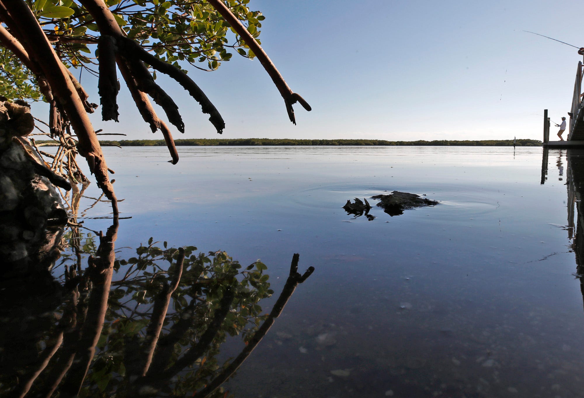 Indian River Lagoon in New Smyrna Beach, Tuesday, Feb 23, 2021.                                                                                                                                                                                                     