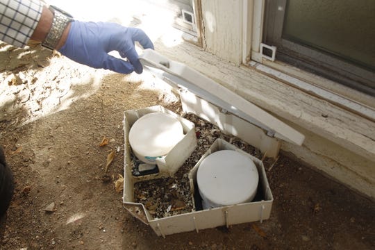 Mick Fetty, owner of Avant-Garde Pest Management,  inspects a ContraPest bait station in a customer's yard in Arcadia. ContraPest is a liquid that makes rats infertile after they eat it.
