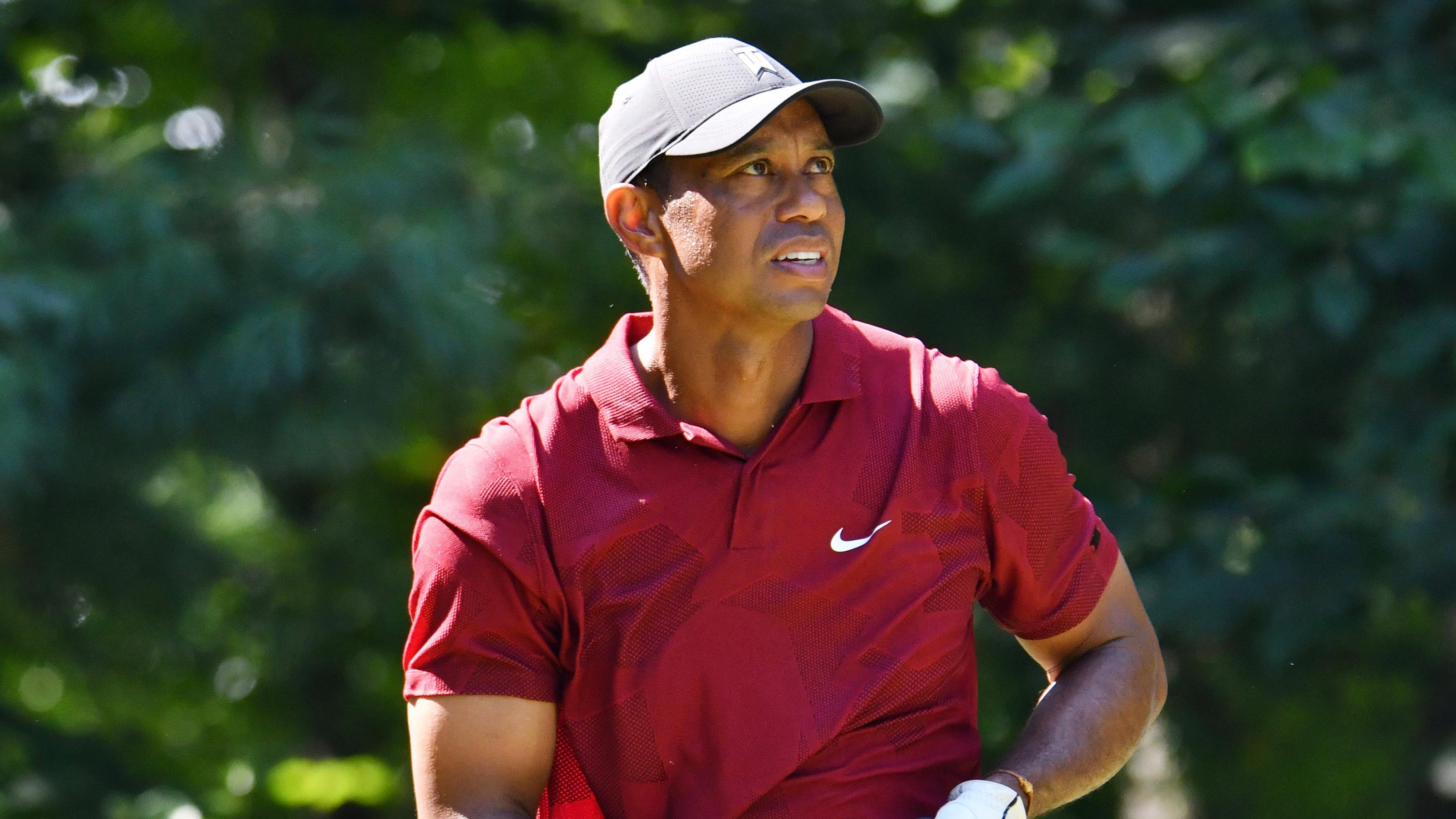 Doctor on Tiger's recovery: 'I think he can play golf again assuming ...