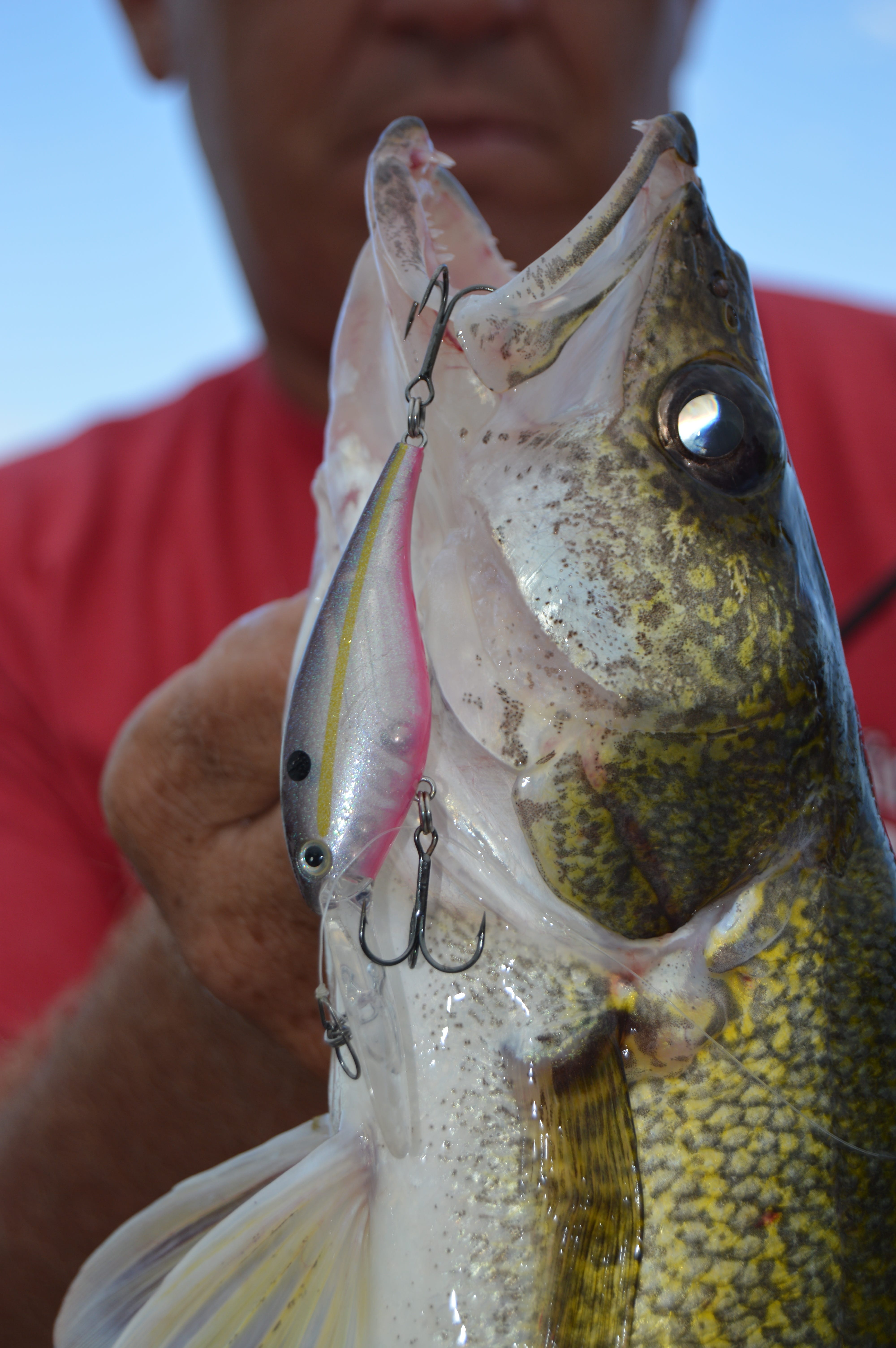 fishing without bait