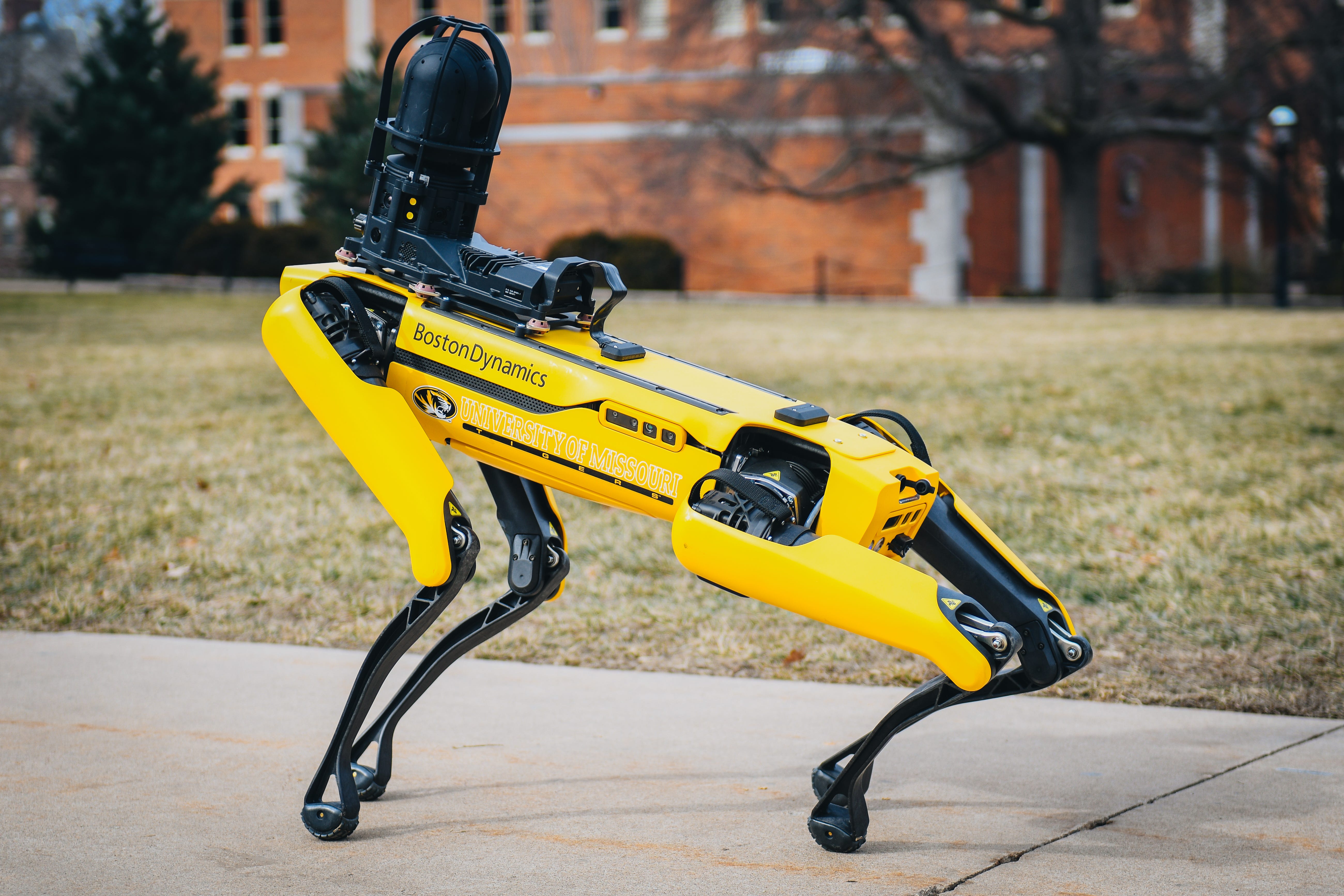 robot dog robot dog