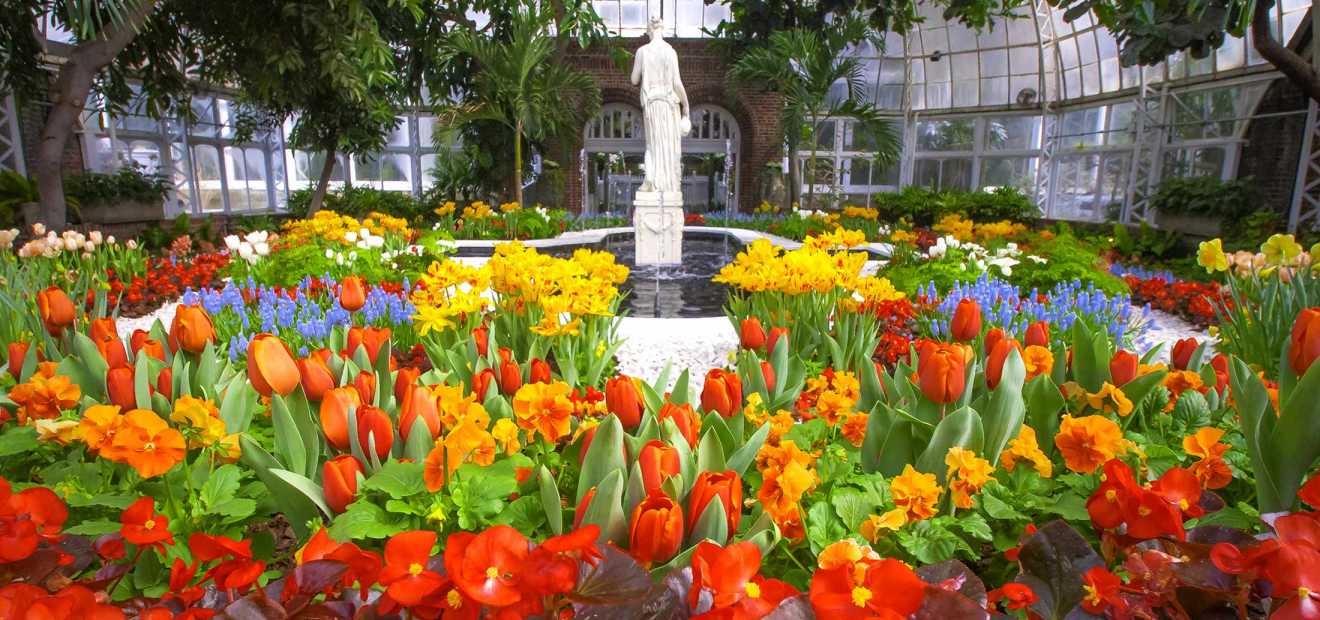 Spring flowers ready to bloom at Phipps Conservatory in Pittsburgh