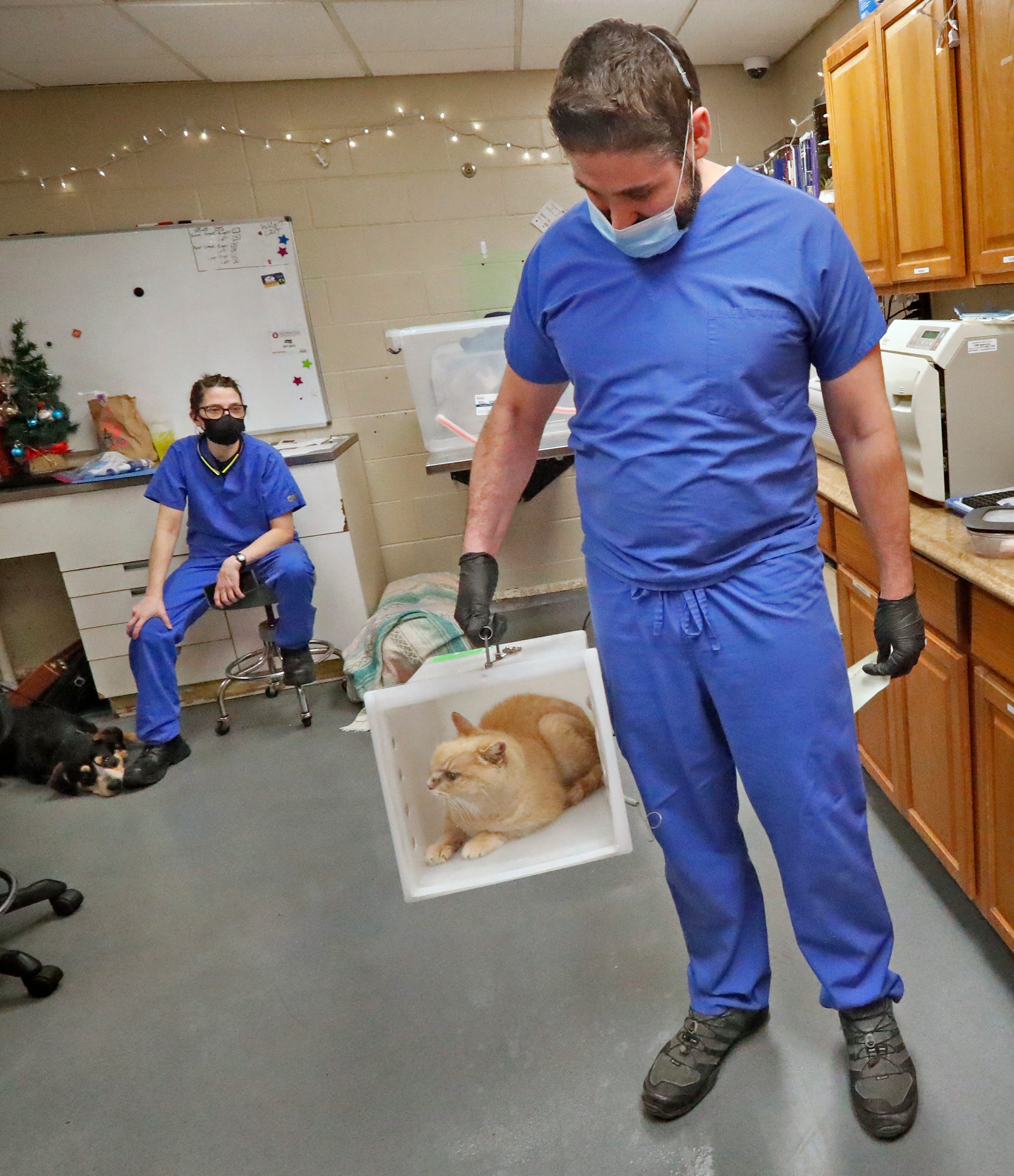 World Veterinary Day 4 facts to think about on your next vet visit