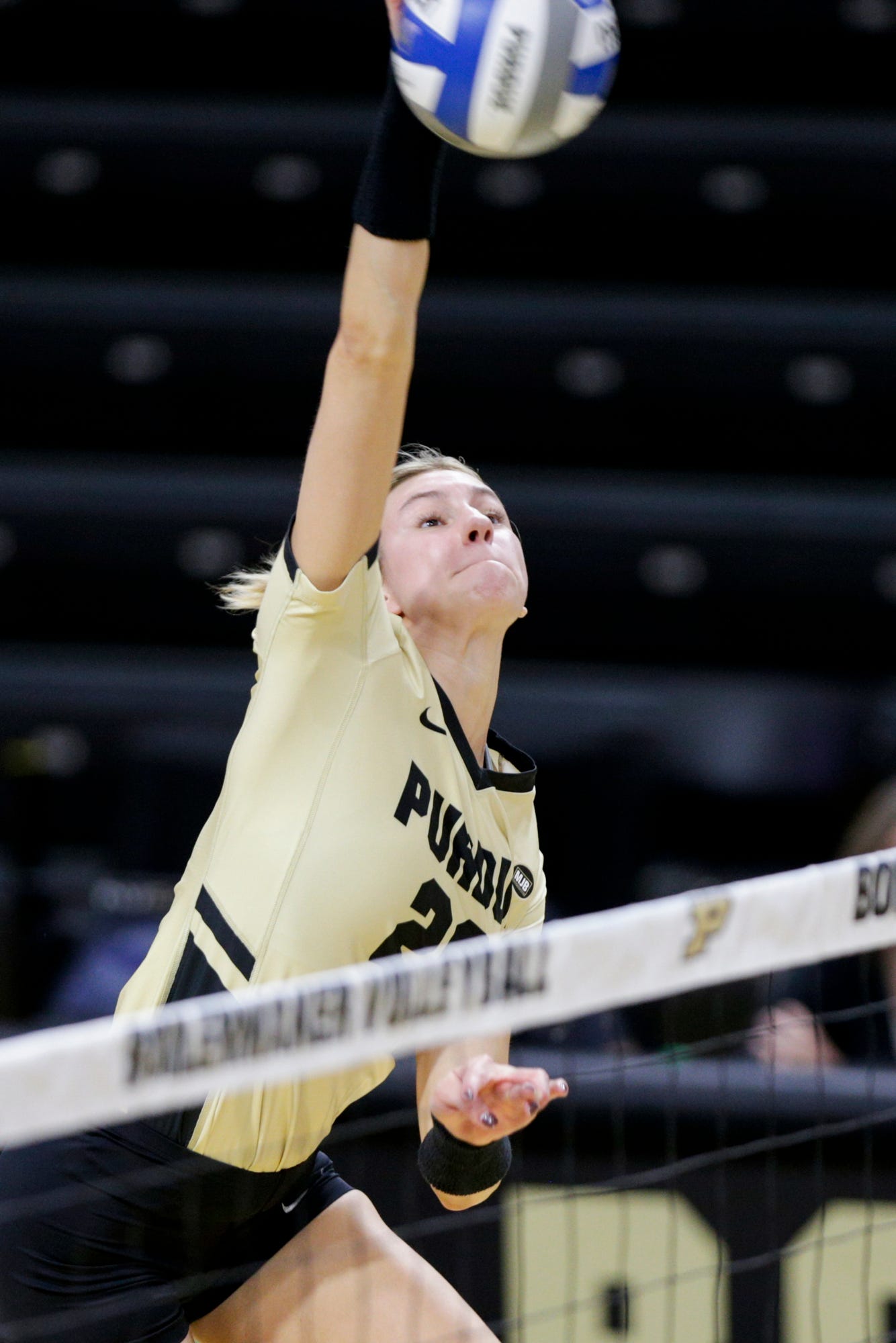 Purdue volleyball sweeps all four weekly Big Ten awards