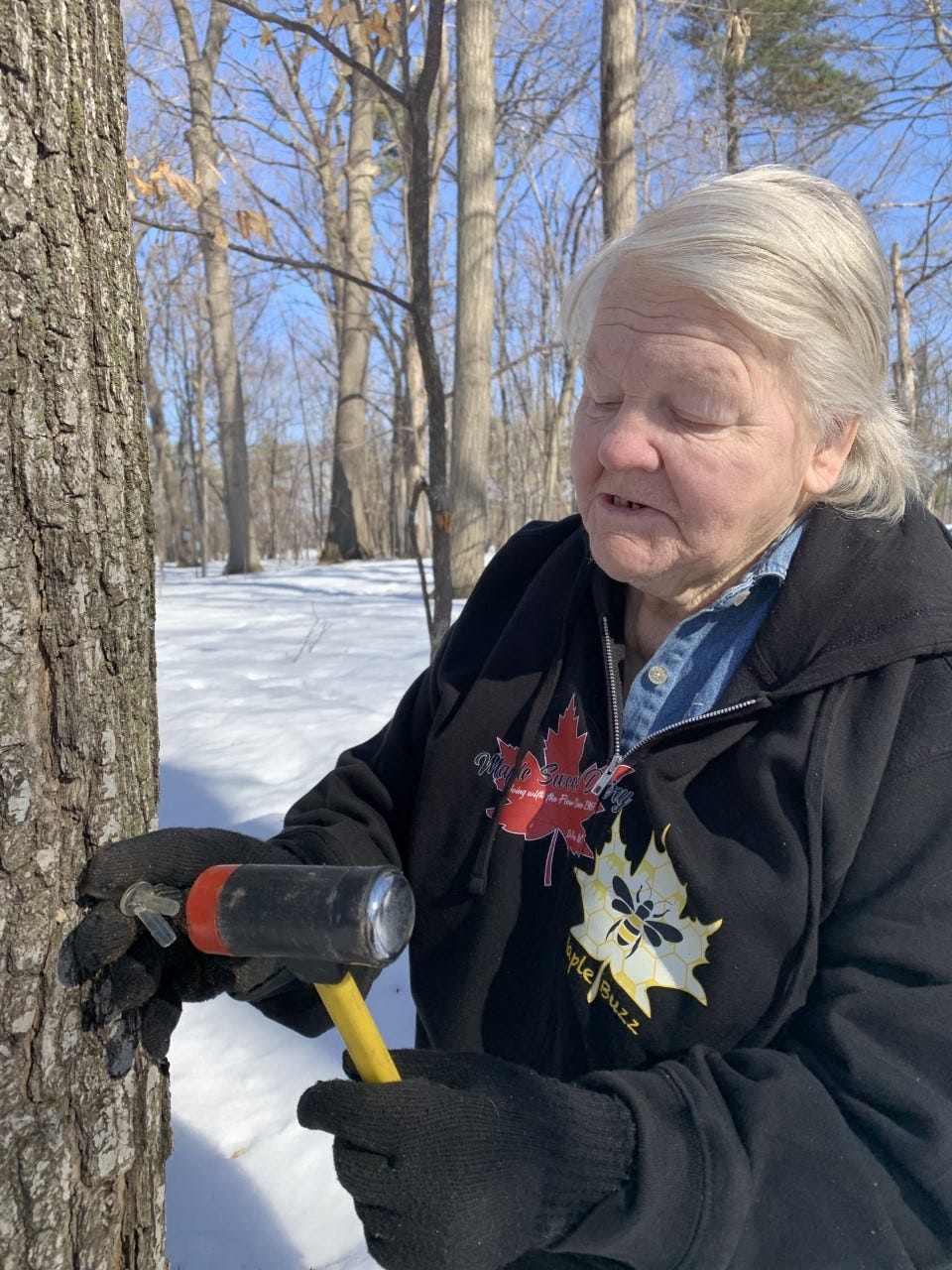 Wisconsin's maple syrup tapping season has roots in Native community