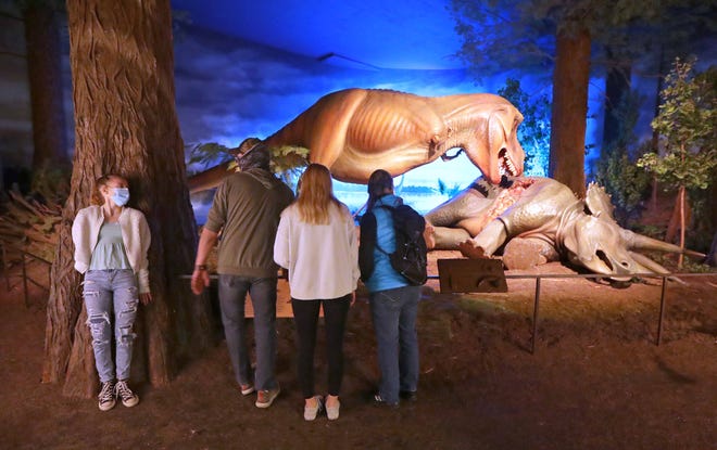 Evelyn Klausen, à esquerda, 13, está atrás de uma árvore enquanto seu pai, Daryl Klausen, mãe, Amanda, e sua irmã, Grace, 17, observam uma exposição de dinossauros na ala Terceiro Planeta do Museu Público de Milwaukee.