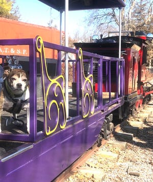 A dog named "Keelee" shown on the left, was among those riding Saturday as the Gage Park Mini-Train made its first trip of the year.
