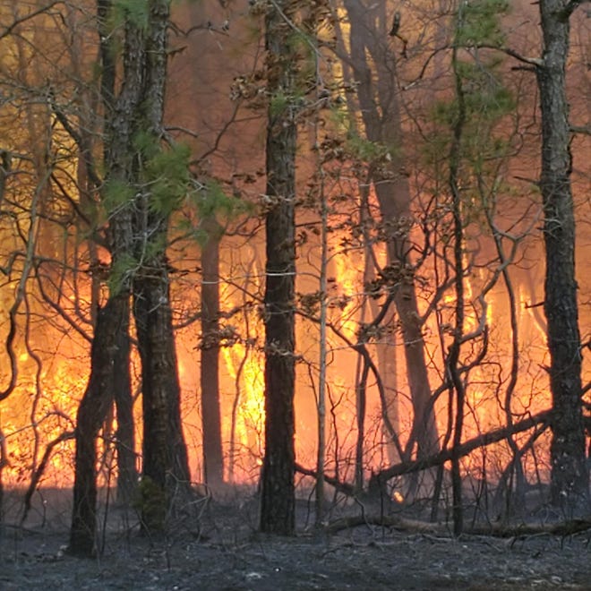 A large forest fire is burning near the Garden State Parkway in Lakewood