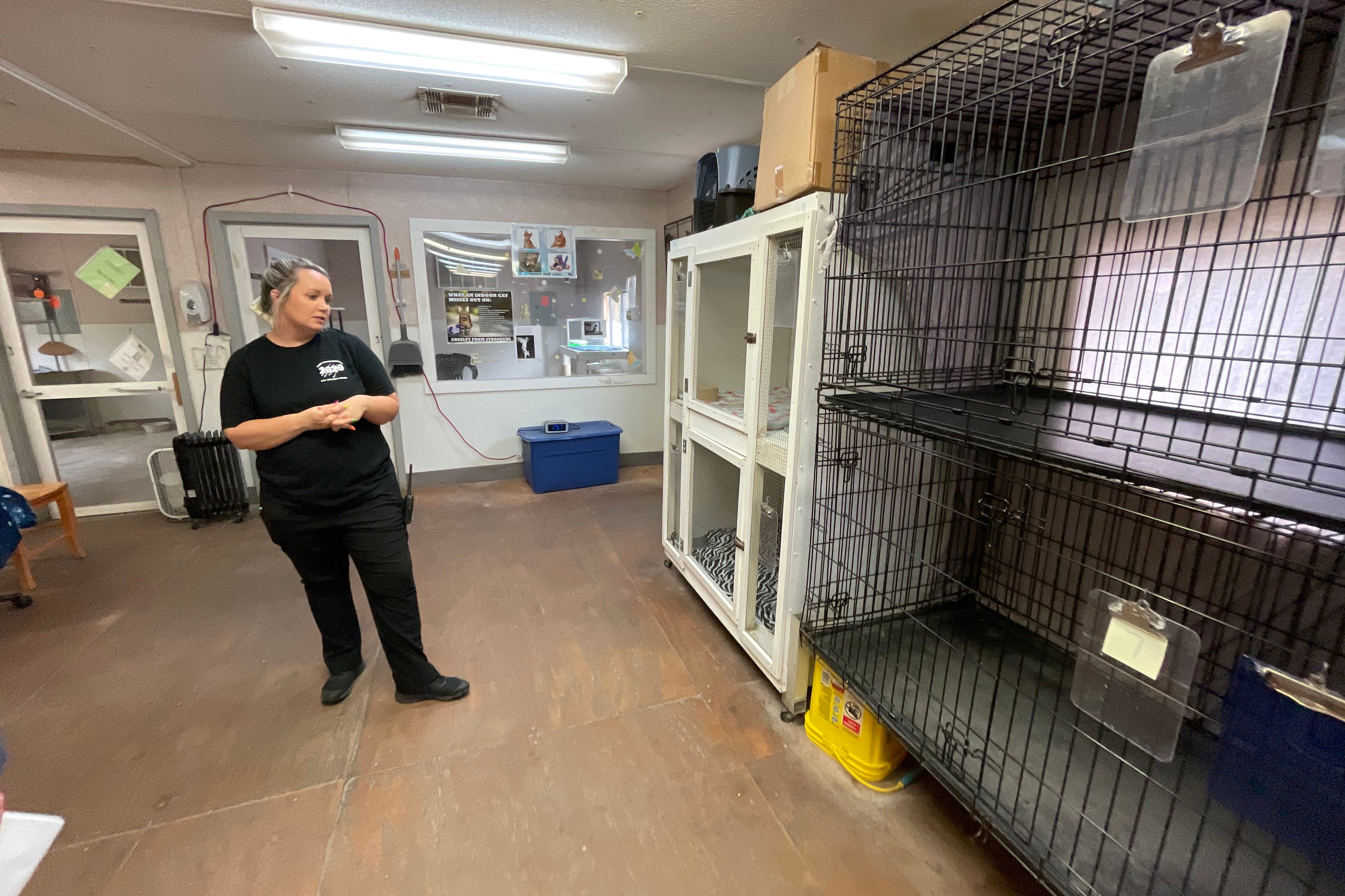 PAWS Okaloosa, Florida animal shelter says 'Empty the Shelter' is success