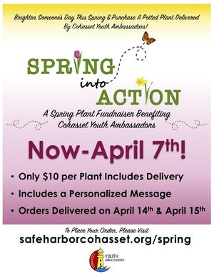 Safe Harbor Cohasset is launching their Spring into Action campaign.