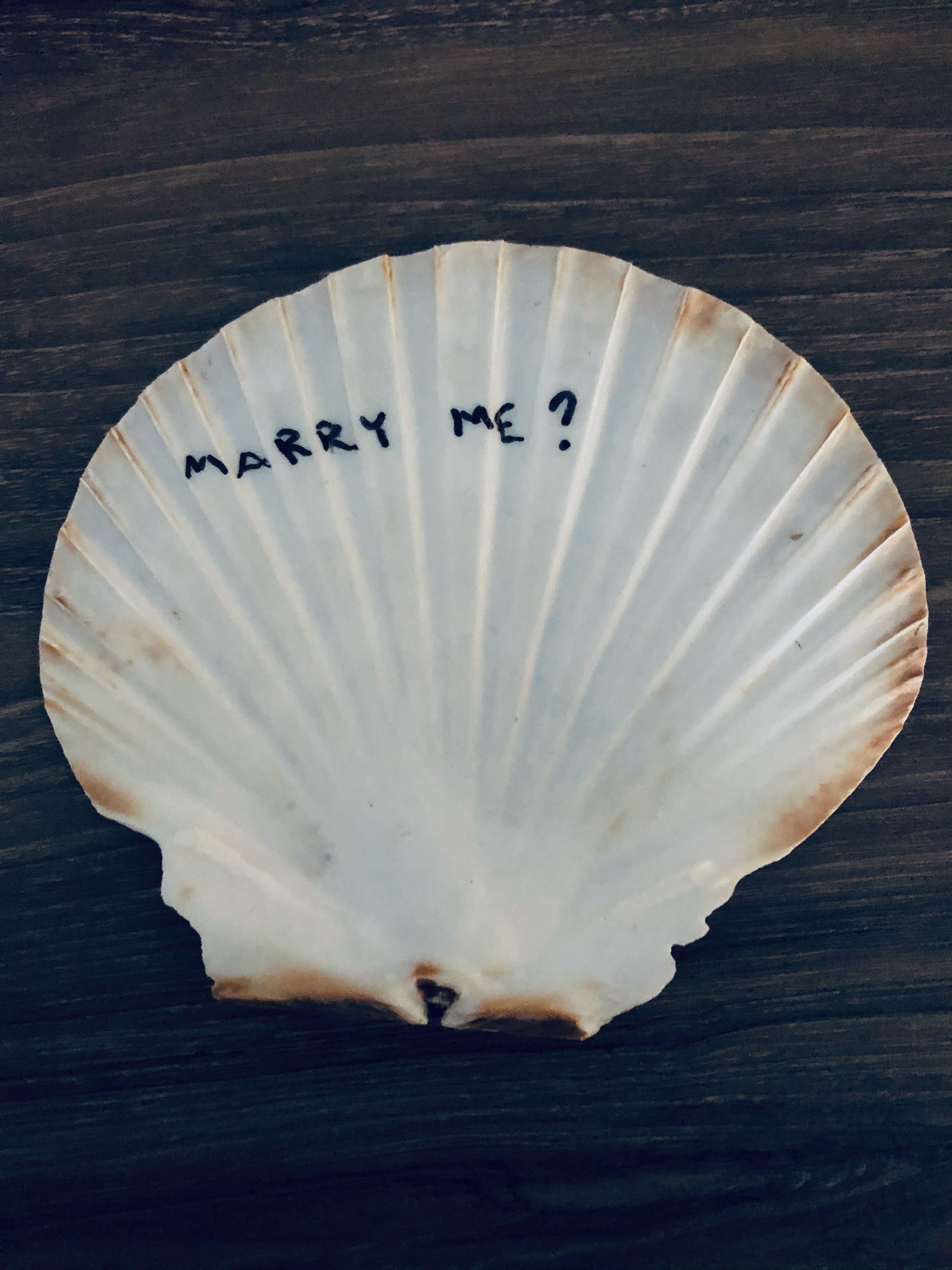 Derek Townsend wrote "Marry Me" on a seashell and planted it, half-covered, on the beach. He pretended to find it and show it to Kelsey. "Derek, put that back," Kelsey scolded. "You're going to ruin someone's engagement." That's when he pulled out the ring and she understood and started crying.