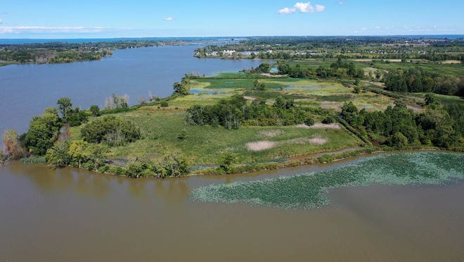 The Little Portage Wildlife Area in Ottawa County was among the nearly 8,000 acres of wetlands improved through conservation efforts by Ducks Unlimited and other partners in 2020.