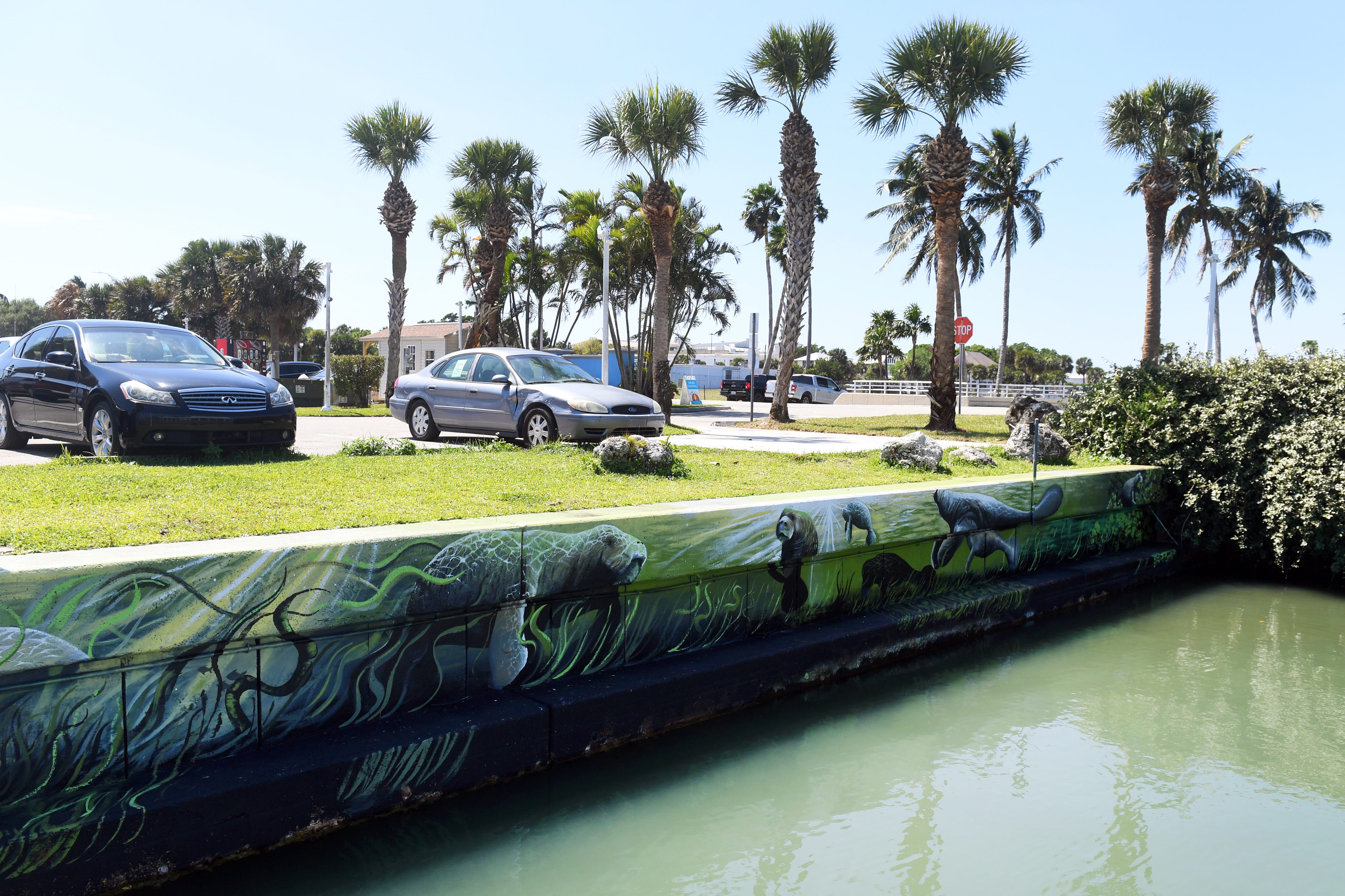 A new mural adorns the southern seawall of Moore's Creek across from the Manatee Observation and Education Center on Friday, March 19, 2021, in Fort Pierce, Fla. The mural, a collaboration between the City of Fort Pierce, the Treasure Coast Manatee Foundation and the Manatee Observation and Education Center, was created by Tallahassee-based artist Kenny Maguire.