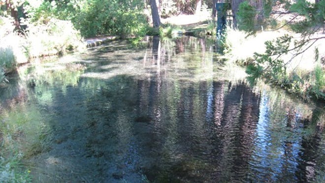 Beaughan Spring, which has been Weed's water source for more than 100 years.