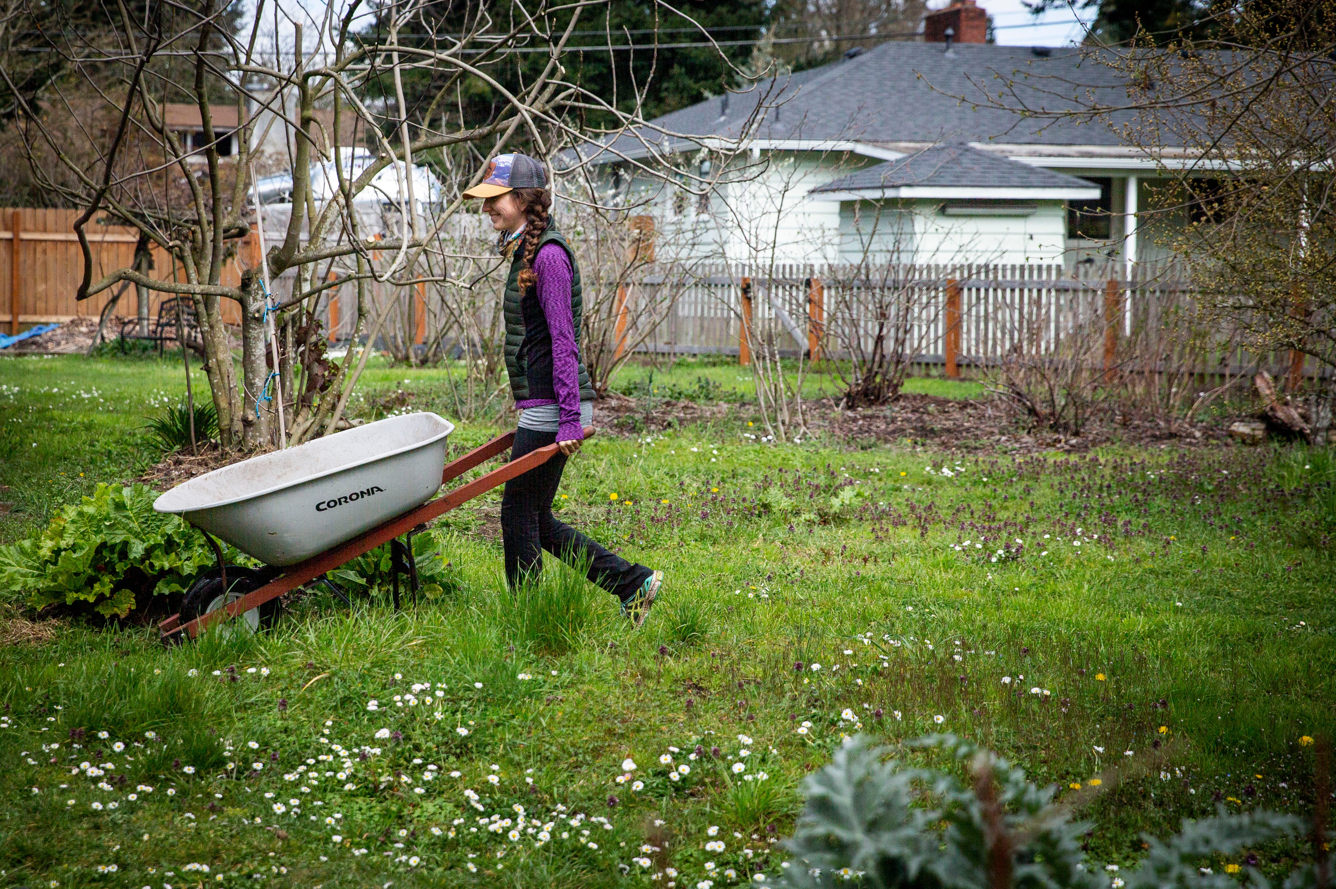 territorial garden planner territorial garden planner