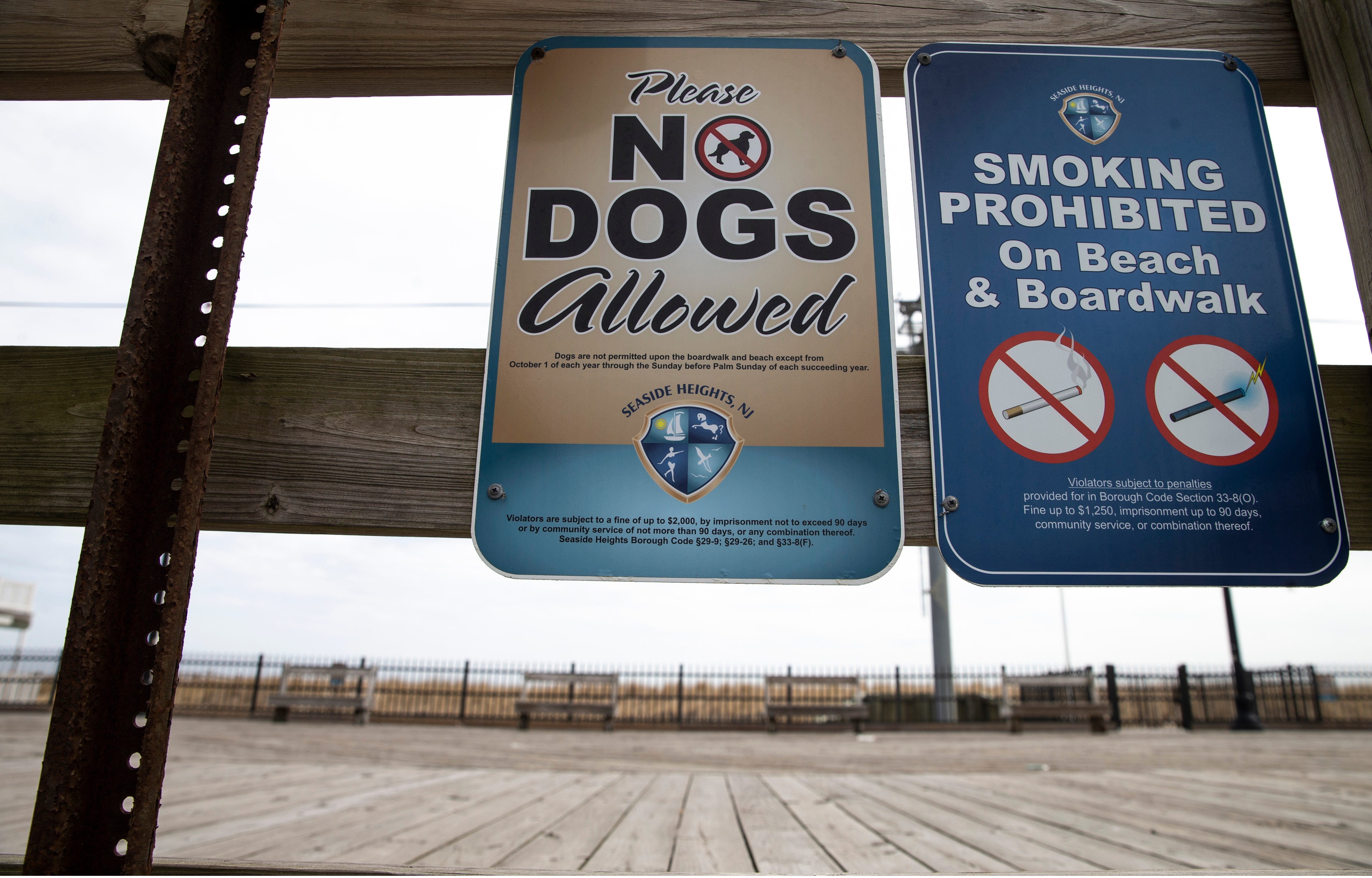 Are Dogs Allowed On Seaside Boardwalk