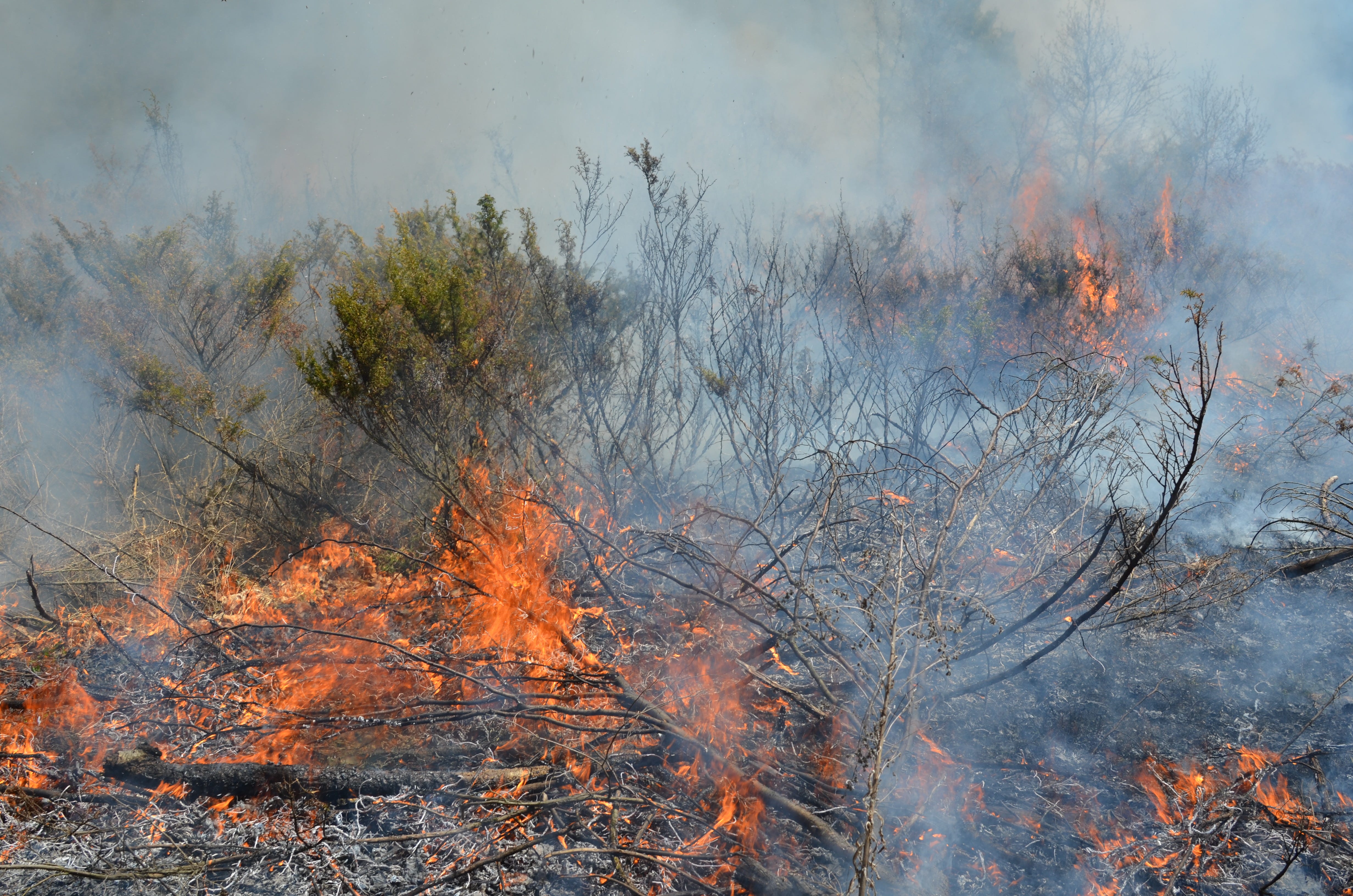 Wildfire smoke cascading over northern Michigan
