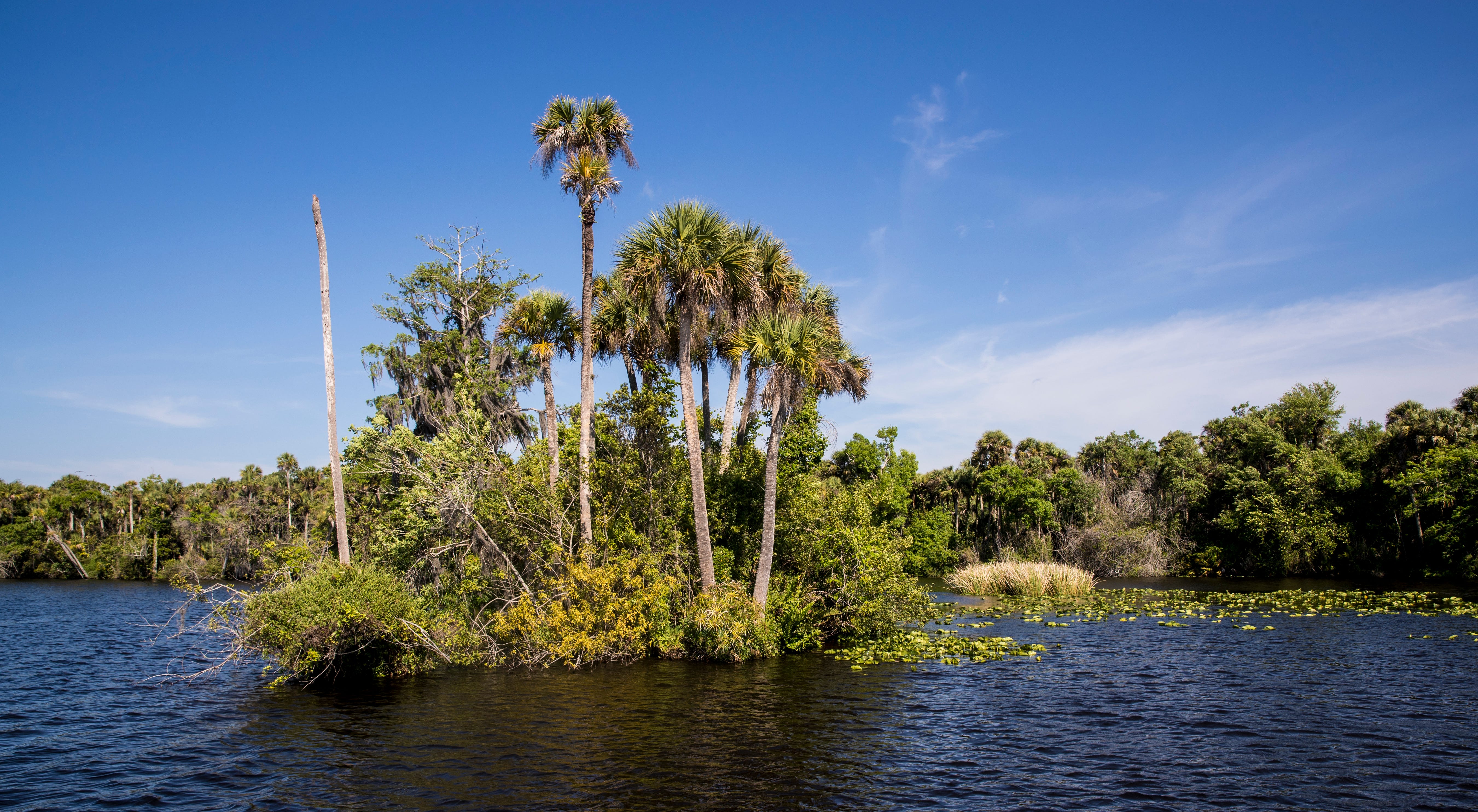 Caloosahatchee River Oxbow Islands Are Shrinking Lee Commissioner Seeks Help