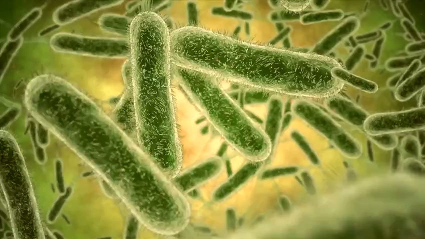 After COVID ends, antimicrobial-resistant bugs pose a new challenge – USA TODAY After COVID ends, antimicrobial-resistant bugs pose a new challenge – USA TODAY