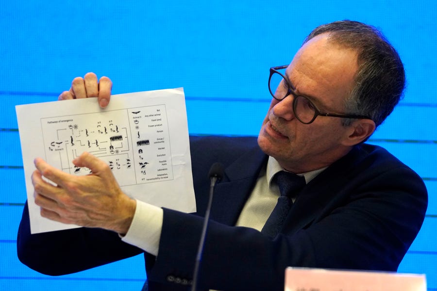 In this Feb. 9, 2021, file photo, Peter Ben Embarek of the World Health Organization team holds up a chart showing pathways of transmission of the virus during a joint news conference at the end of the WHO mission in Wuhan in central China's Hubei province. A joint WHO-China study on the origins of COVID-19 says that transmission of the virus from bats to humans through another animal is the most likely scenario and that a lab leak is "extremely unlikely," according to a draft copy obtained by The   Associated Press.