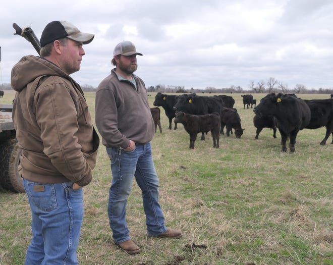 Damon and Brian Stauffer look at their pasture at Stauffer Farms in Arlington.