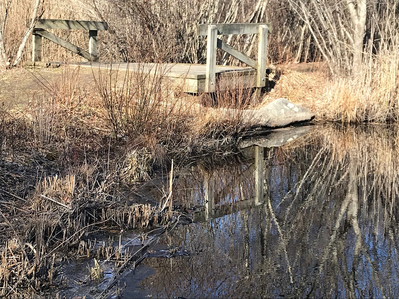 Walking Rhode Island Simmons Mill's lush legacy in Little Compton