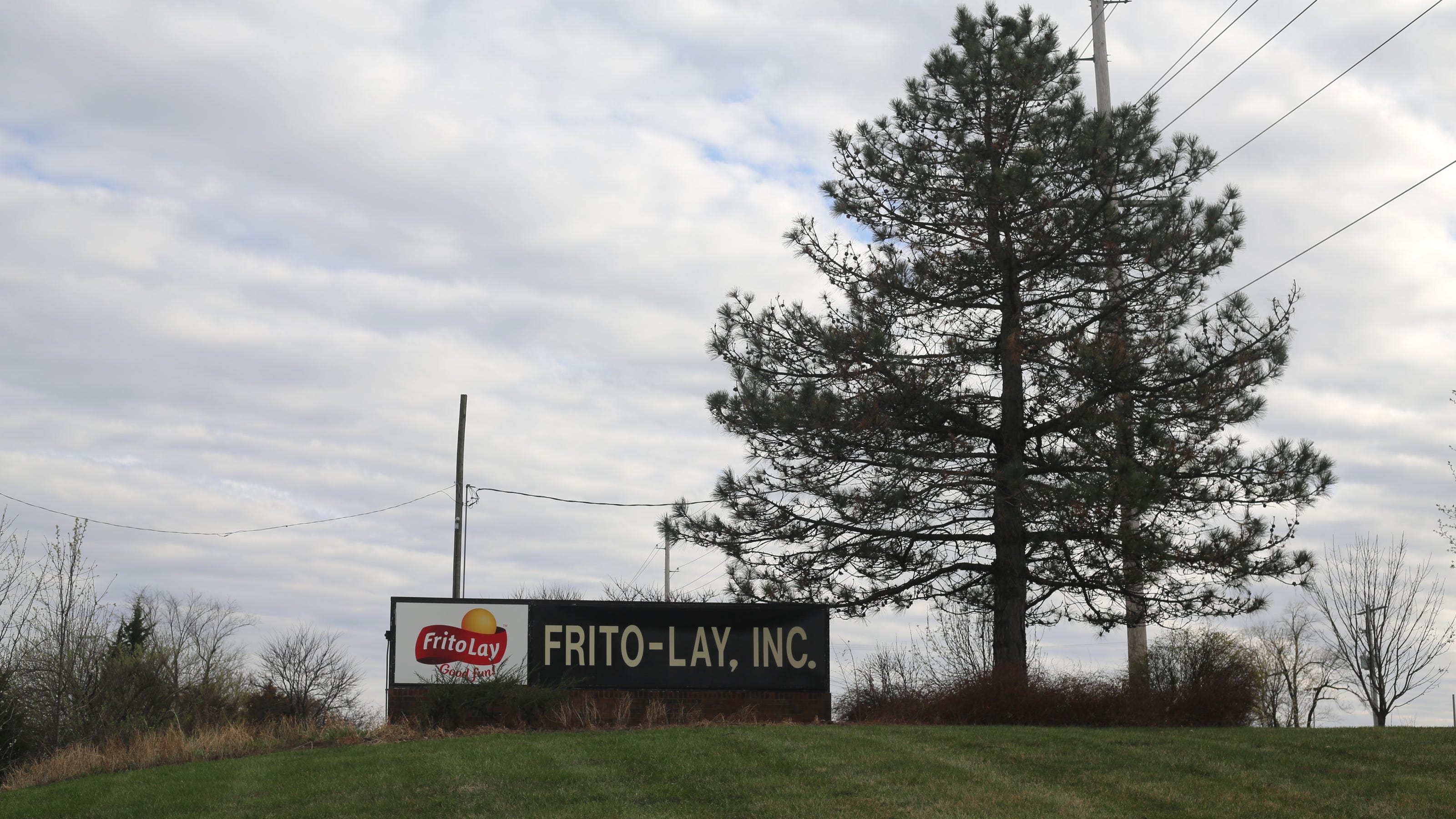 Efwo/Frito Lay Company Jobs/Terms Of Use/ - 23esr5g