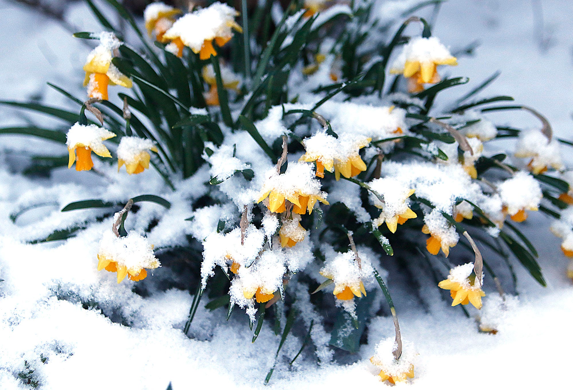 See the source image