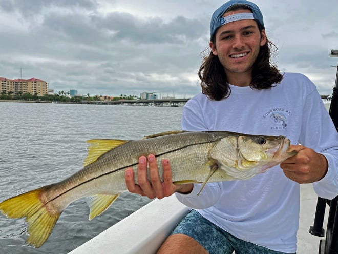 Brandon Starling, of Lakeland, caught this snook on a live scaled sardine near the mouth of the Manatee River while fishing with Capt. John Gunter this past week.