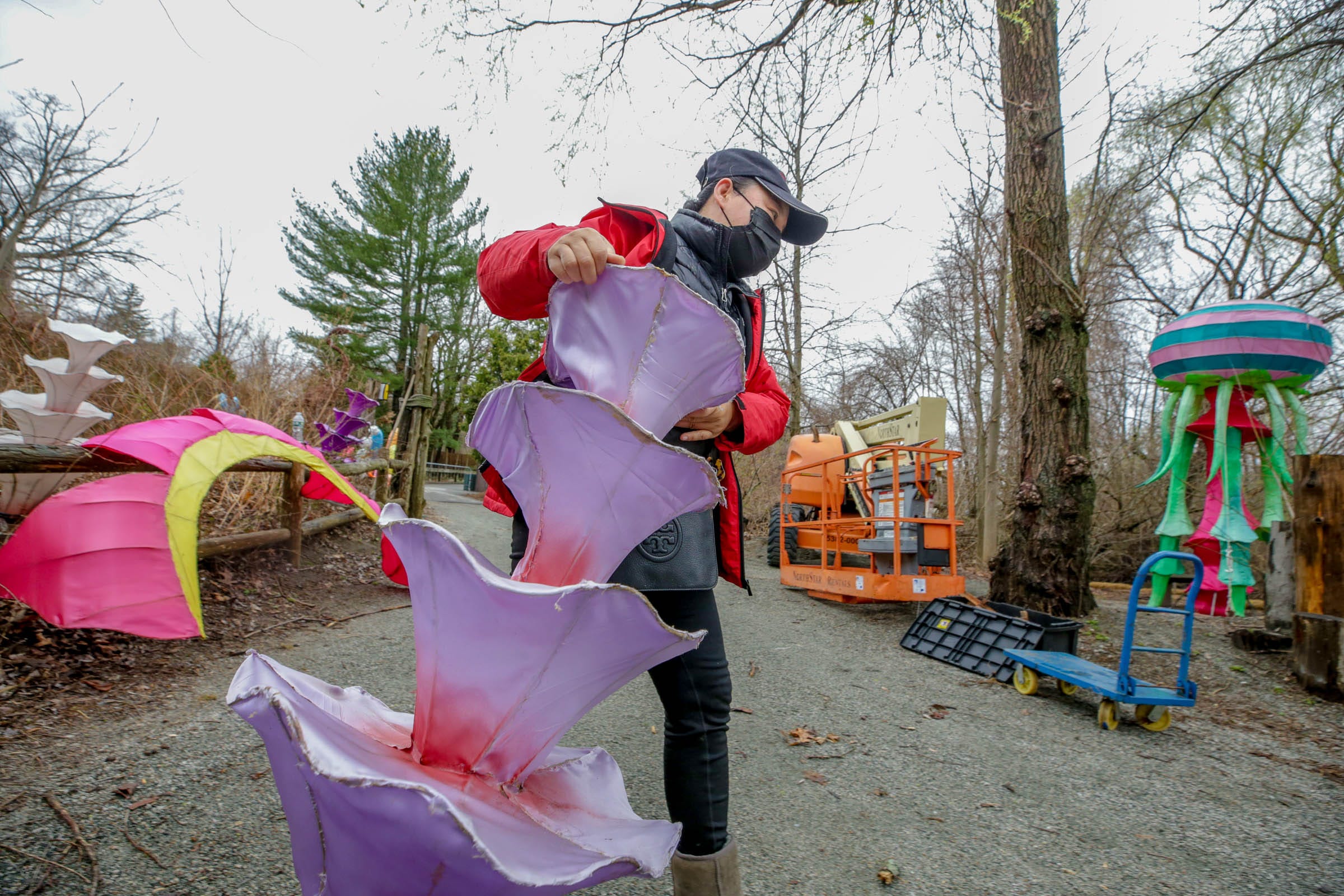 lanterns at roger williams zoo