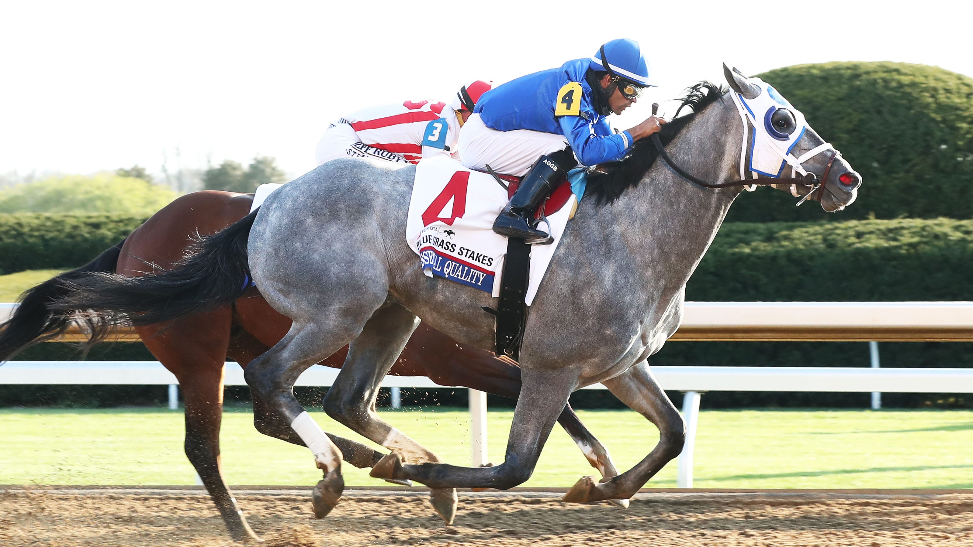 Blue Grass Stakes 2025