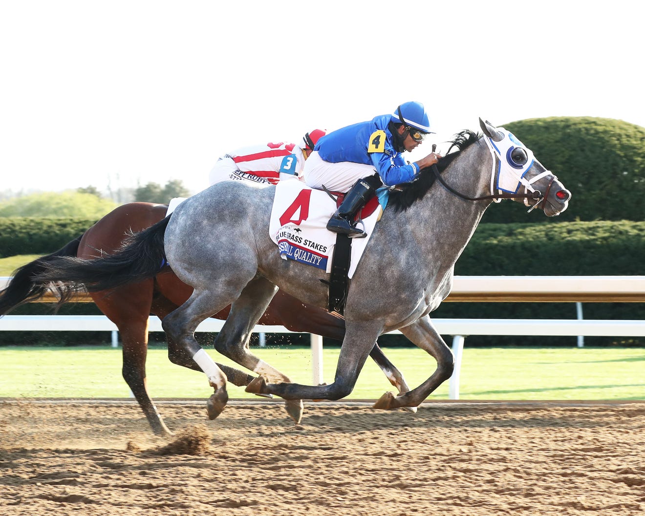 List Of 2025 Kentucky Derby Horses
