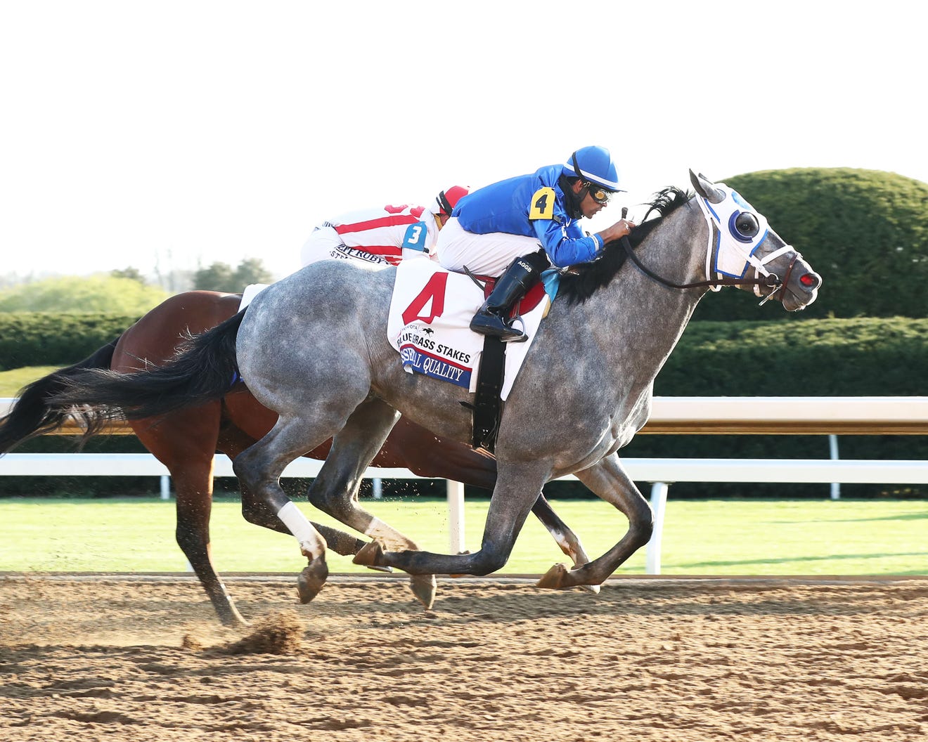 Kentucky Derby horses 2021 Rank, horse and points